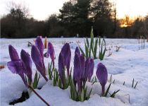 Două zile ploioase, una caldă. Vezi prognoza meteo de weekend