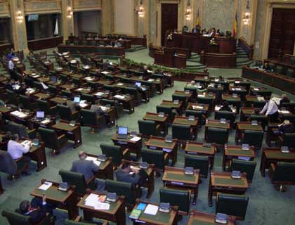Votul senatorilor, conservat de frica proniei cereşti. Paşapoartele biometrice, adoptate tacit