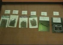 Sondaj în rândul tinerilor, privind consumul de droguri: Peste 51% vor legalizarea stupefiantelor