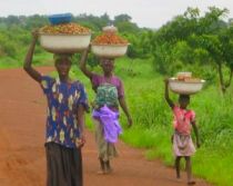 G8 se va angaja să sprijine agricultura africană