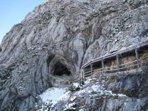 Un evadat din Portugalia a trăit timp de 16 ani în sălbăticie