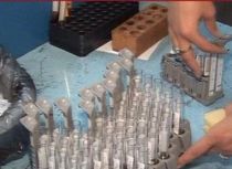 Slobozia. Cazul de gripă porcină, confirmat: Clasa în care învaţă eleva bolnavă, închisă pentru o săptămână