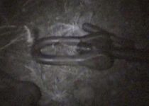 Jaf la calea ferată: Doi tineri, prinşi în timp ce furau legăturile de la vagoanele unui tren (VIDEO)