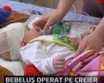 bebelus