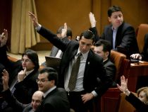 Deputaţii dau cu tifla ordonanţei lui Boc: O lege privind interzicerea plantelor halucinogene, adoptată