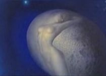 Nud pictat de Sabin Bălaşa, acoperit pe perioada şedinţei de Guvern de la Iaşi (VIDEO)