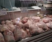 Studiu: 75% din puii sacrificaţi în UE, contaminaţi. În România, procentul este de 64% (VIDEO)