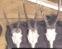 Un arădean sculptează piese unicat pentru clienţi străini