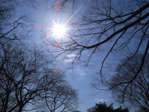 Vremea se îmbunătăţeşte. Află ce spun meteorologii şi vezi prognoza pentru trei zile (VIDEO)