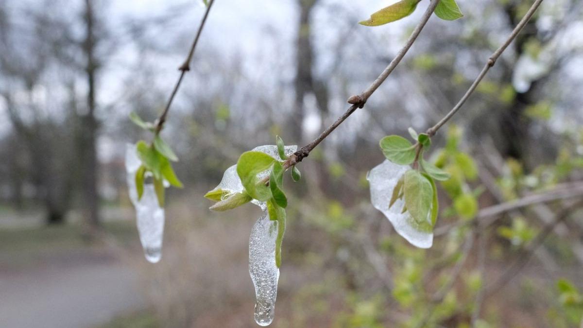 România cuprinsă de un val de aer polar Când scăpăm de frig