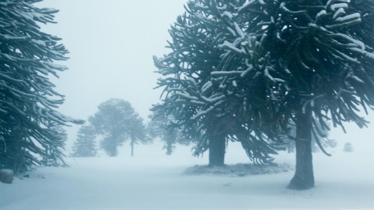 Meteorologii Anm Anun Zonele Din Rom Nia Unde Va Ninge N Aceast