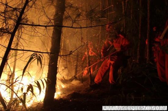 Stare de alertă. Un incendiu masiv de vegetaţie a izbucnit în Suedia 407