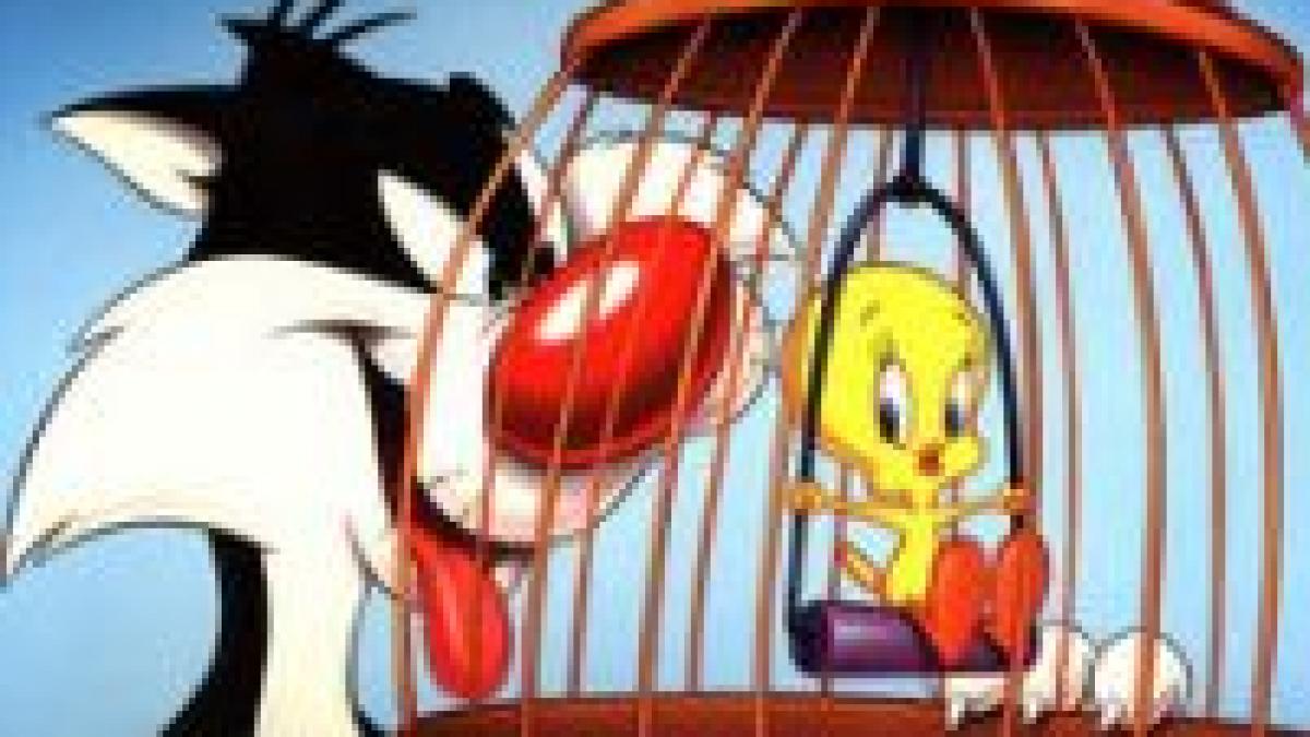 Sylvester şi Tweety se aleargă de 60 de ani

