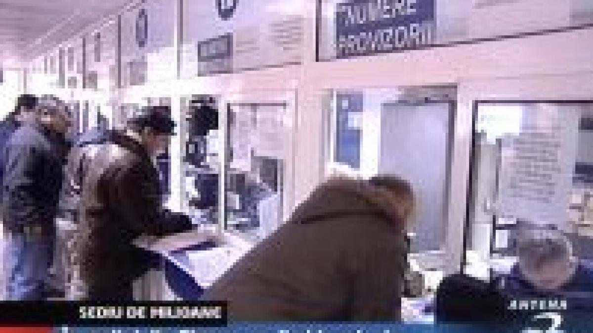 Sediu de milioane de euro pentru permise auto