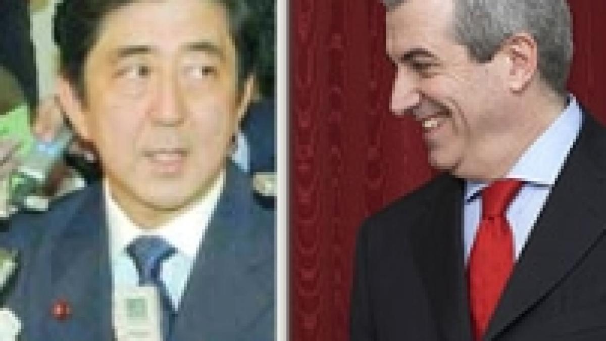 Tăriceanu discută la Tokio ?cazul Doina?