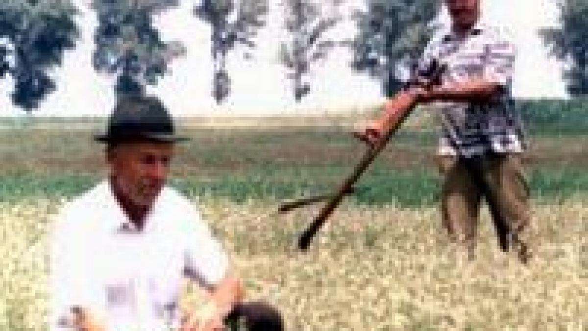 Micii agricultori din România riscă să dispară

