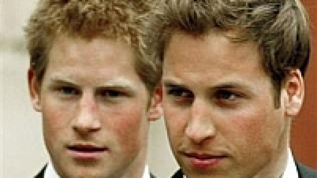 Prinţii William şi Harry îi fac farse Reginei