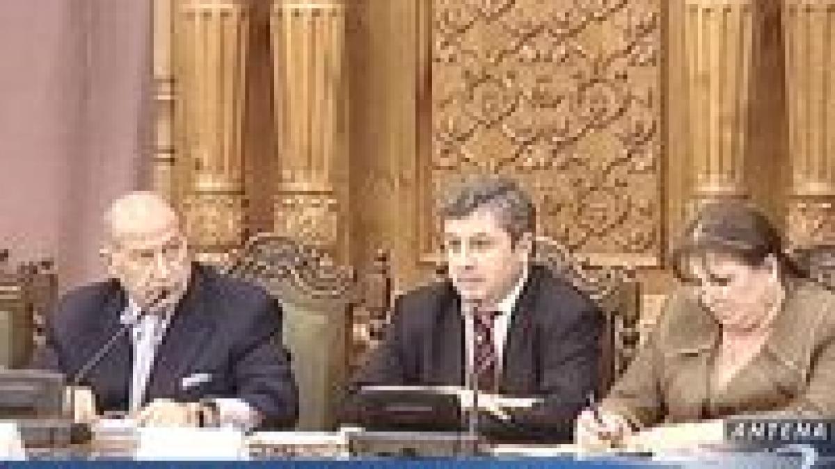 Vlădescu şi Pavelescu - la comisia "Băsescu"