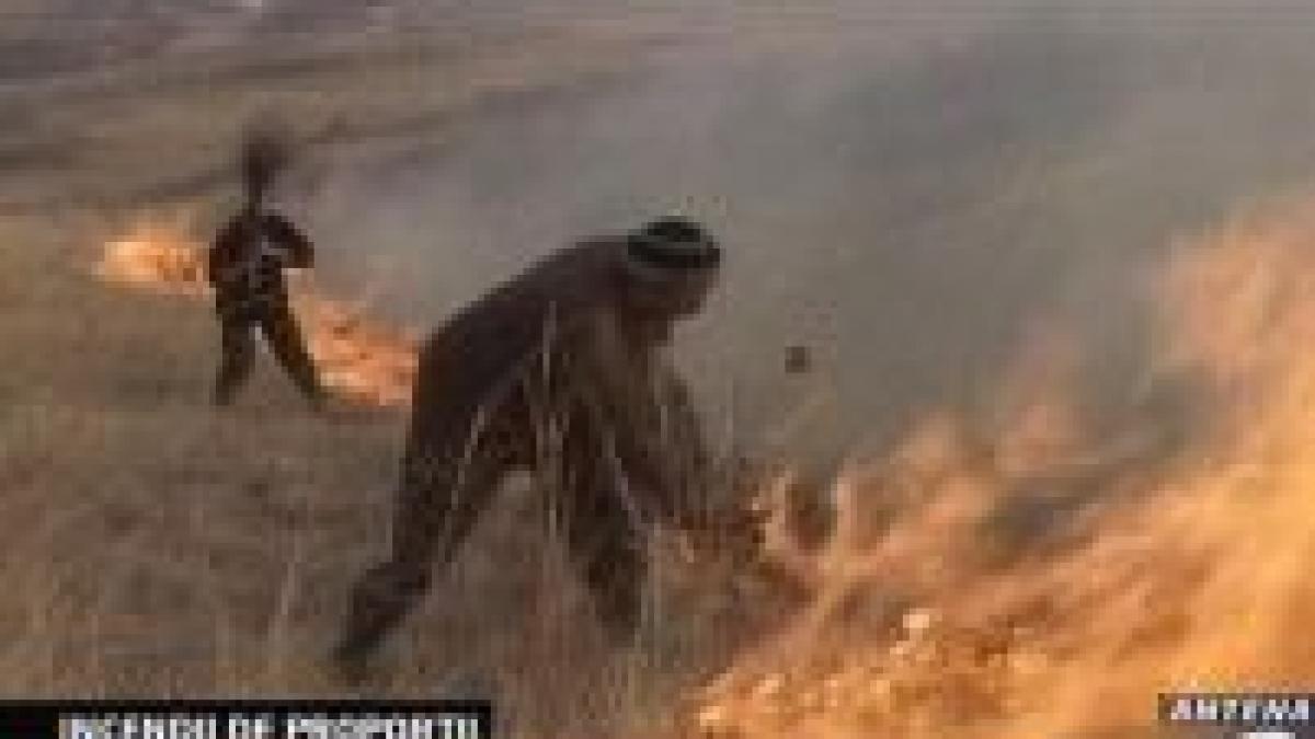 
Incendiile au mistuit sute de hectare de pădure
