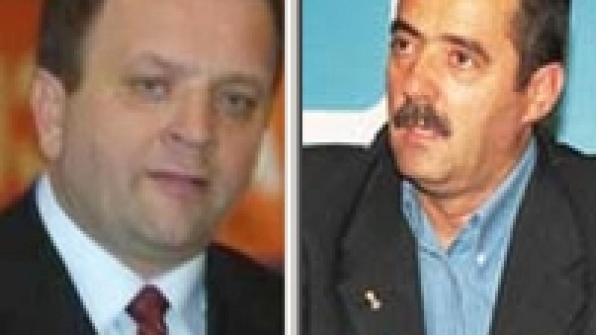 PD şi PLD participă pe liste separate la euroalegeri