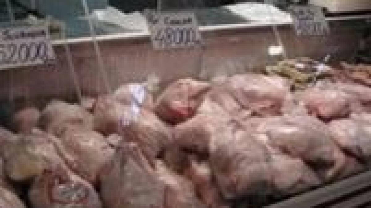 Tone de carne cu Salmonella descoperite la Arad <font color=red>(VIDEO)</font>