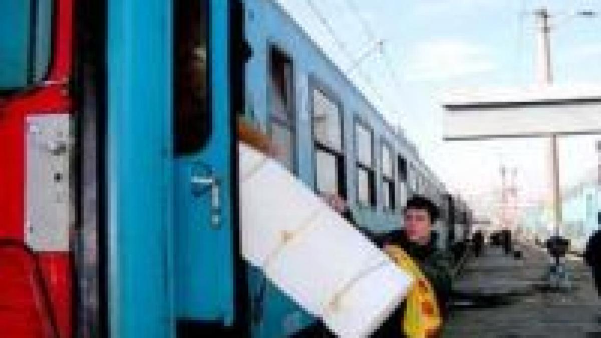 Nepoata scriitorului Mihail Sadoveanu a fost jefuită în tren