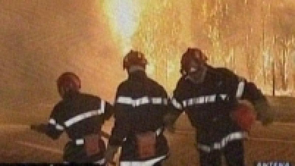 Noi incendii mistuie pădurile din Franţa 