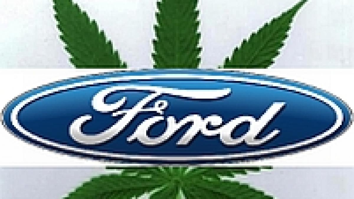 Ford va asambla un automobil pe bază de canabis