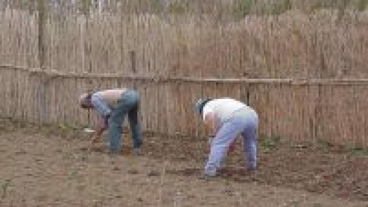 Agricultorii ameninţă Guvernul cu proteste