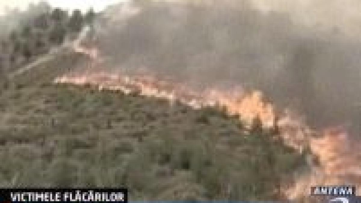 Grecia în stare de urgenţă. 37 de morţi în urma incendiilor 