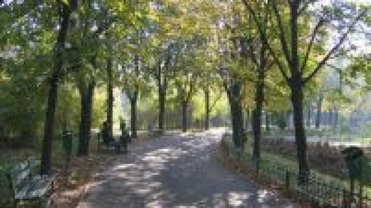 Parcul IOR din Capitală ar putea rămâne fără terase