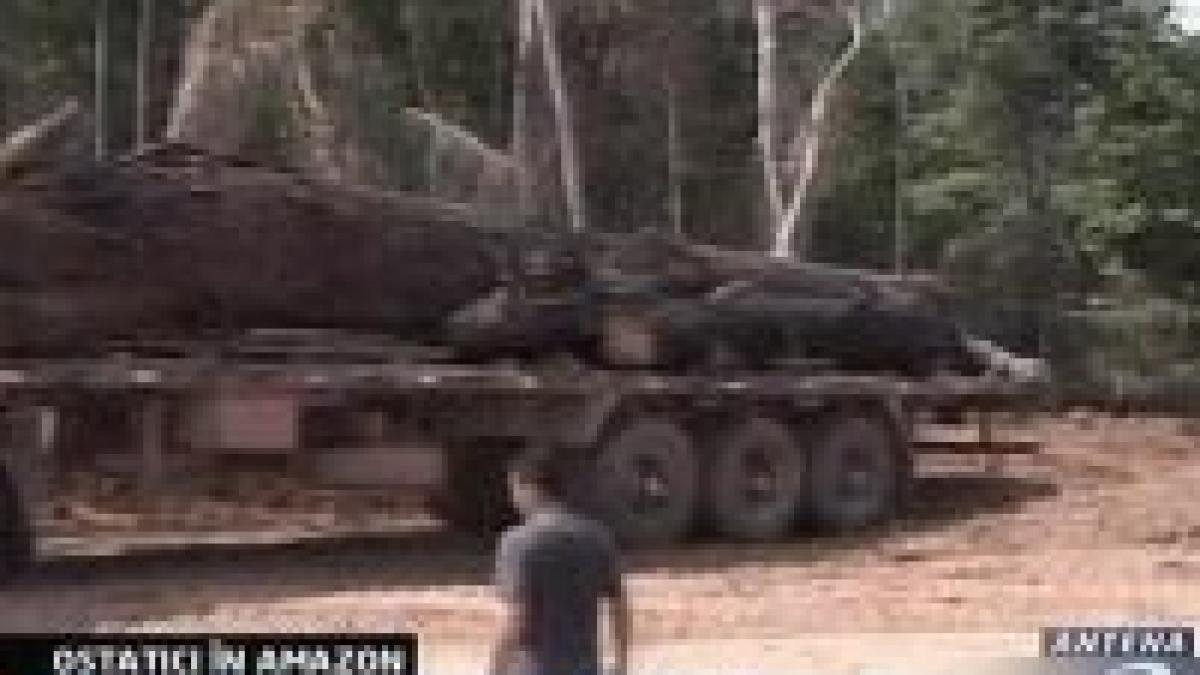 Militanţi ecologişti Greenpeace captivi o noapte în jungla amazoniană