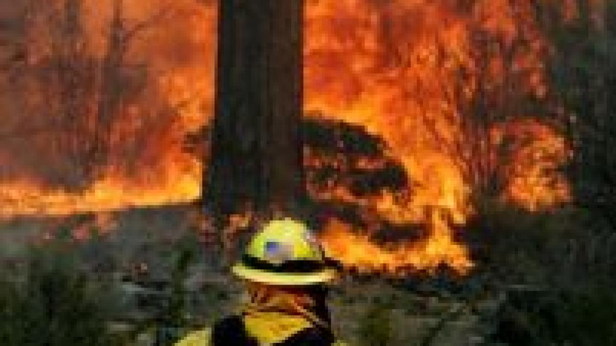 California în flăcări. Un mort, zeci de răniţi, 500.000 de oameni evacuaţi