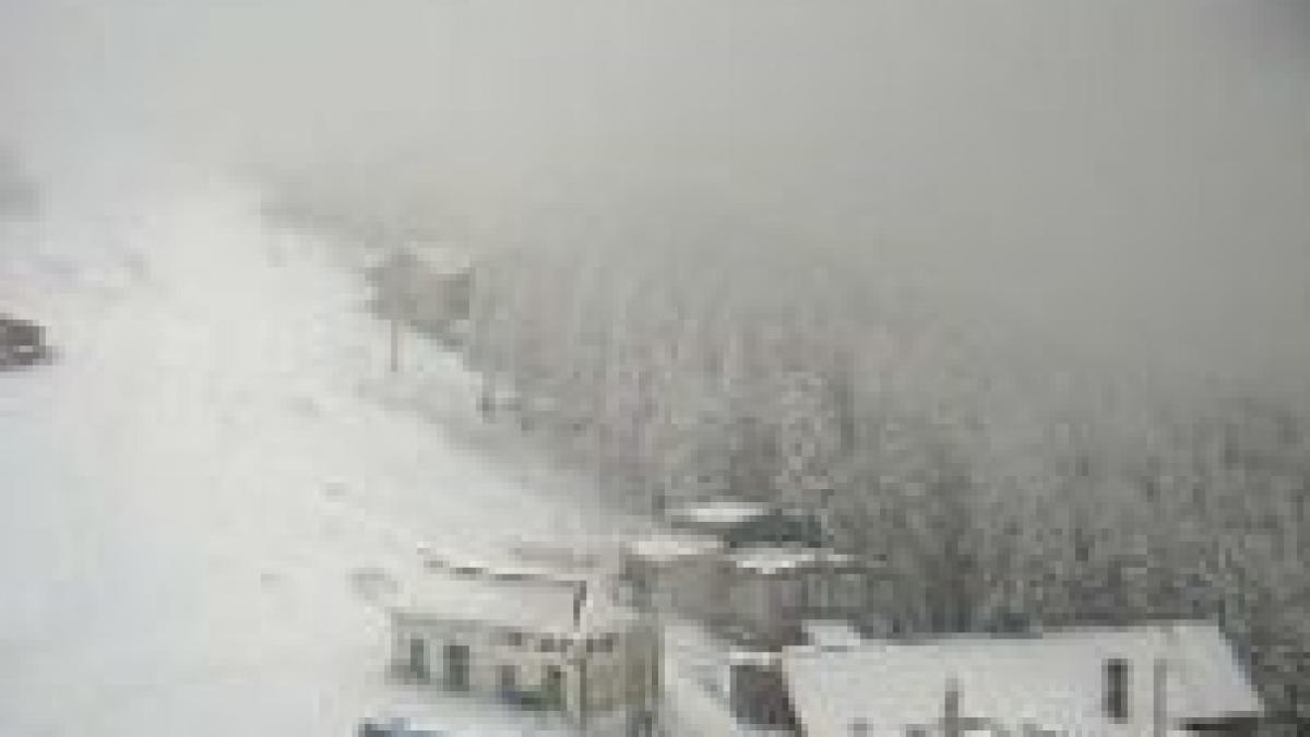 Ninge în Munţii Rodnei, la înălţimi de peste 1.600 de metri

