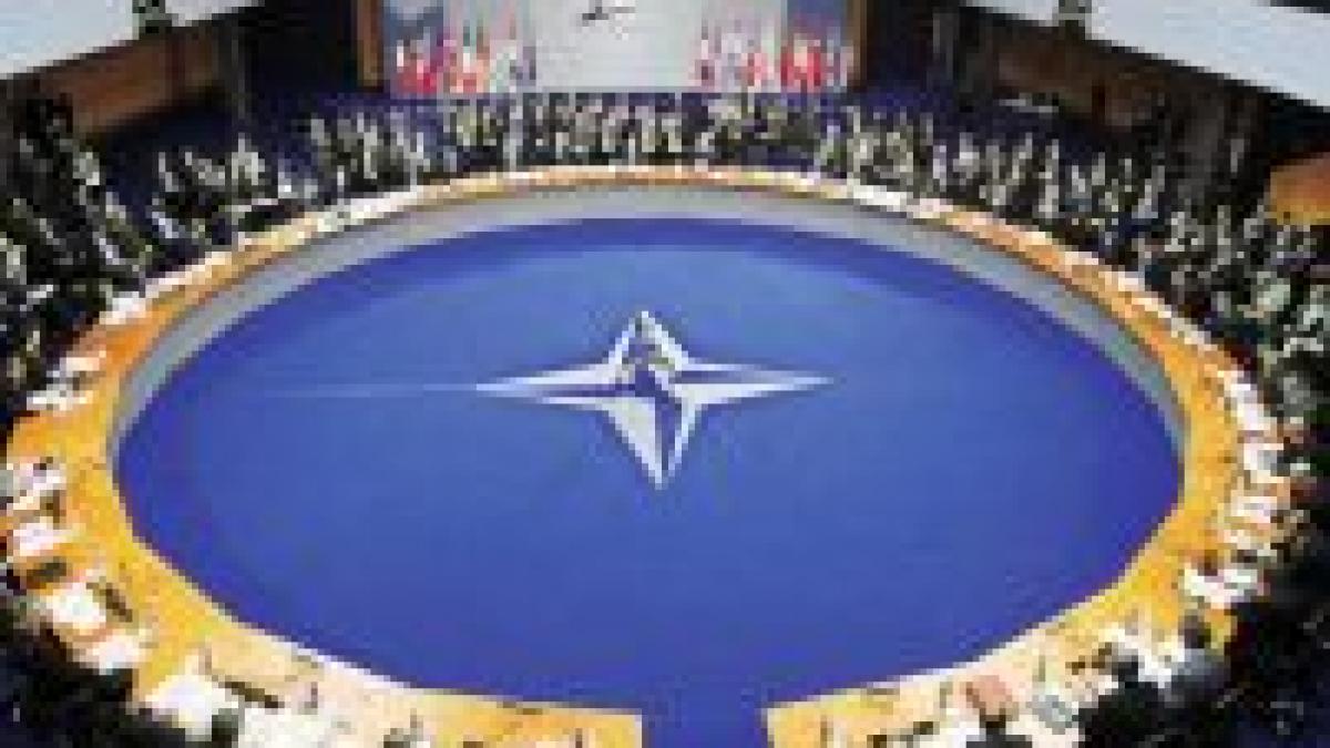 Salariaţii din sectorul public ar putea avea zile libere în perioada Summit-ului NATO