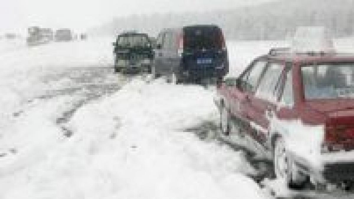 China. Cele mai mari ninsori din ultimii 50 de ani - transporturile sunt paralizate