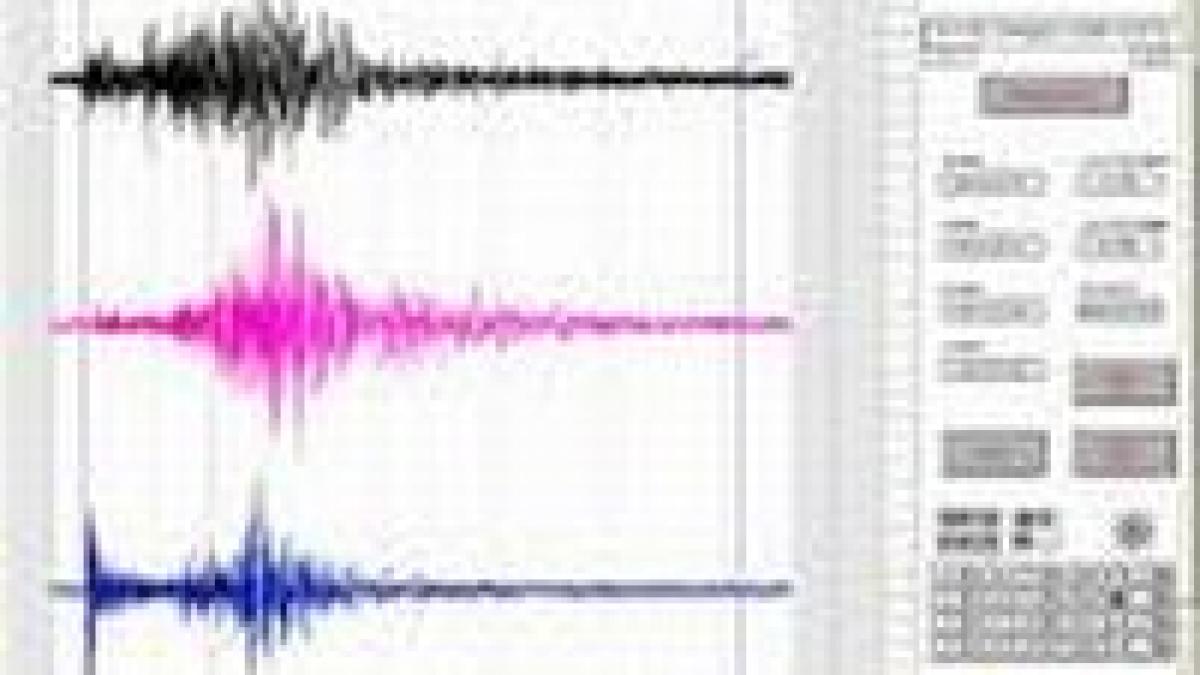 Cutremur de 4,2 grade pe scara Richter în Vrancea