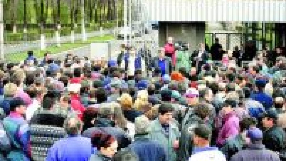 O nouă instituţie va verifica acordarea asigurărilor sociale