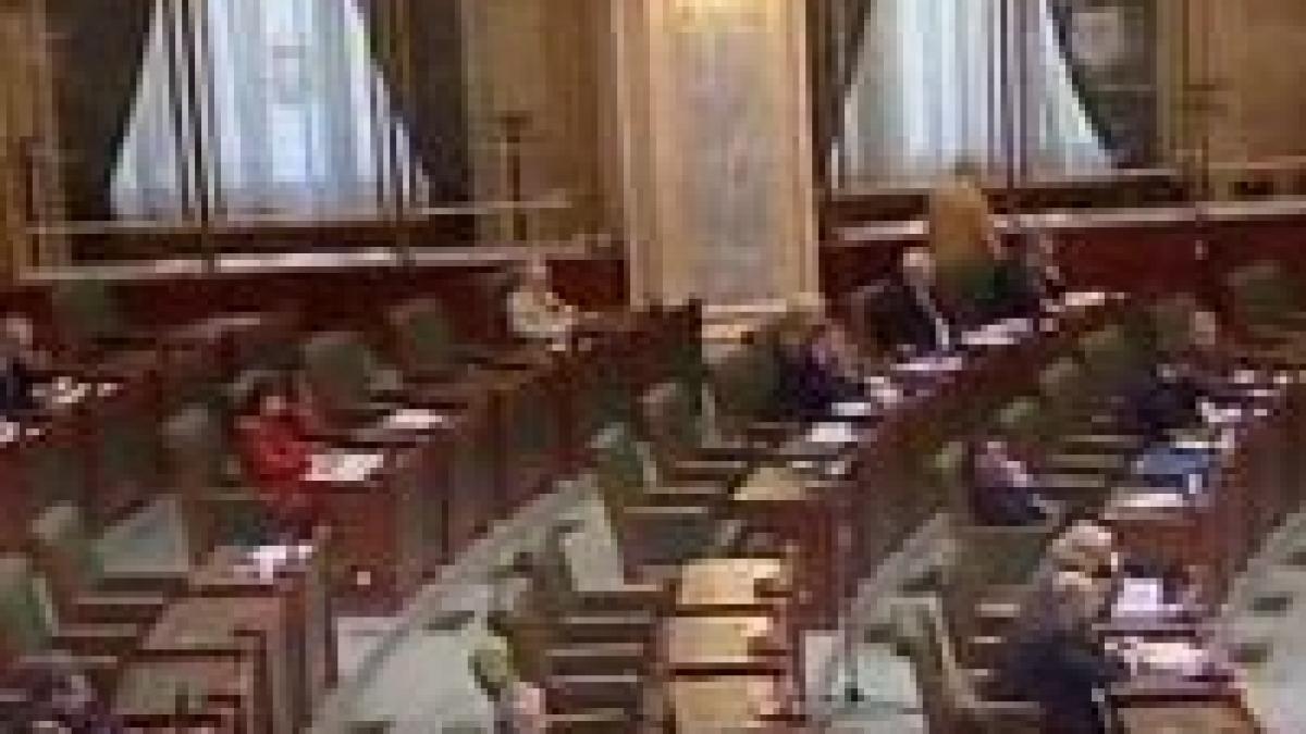 Moţiunea privind nivelul de trai a fost adoptată de Senat