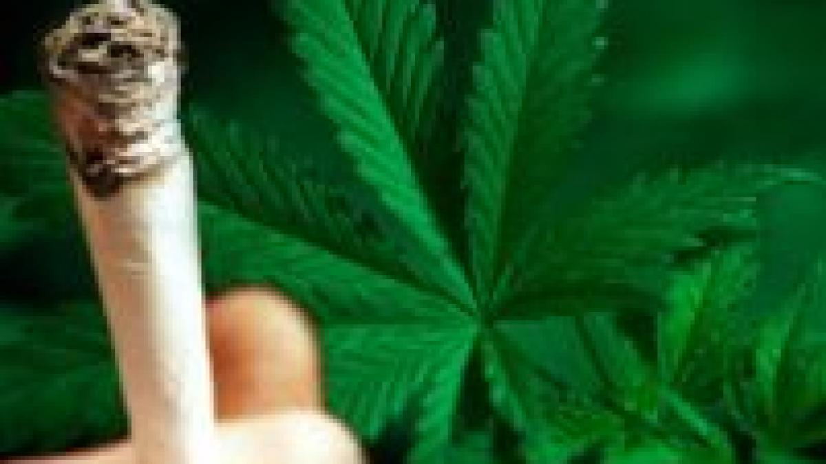 Heroina şi marijuana sunt principalele droguri consumate în România