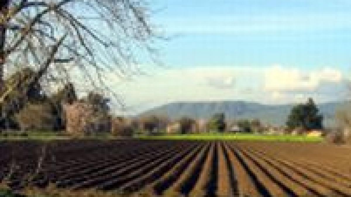 Fraudă în Bulgaria. Comisia Europeană a suspendat subvenţiile pentru agricultură