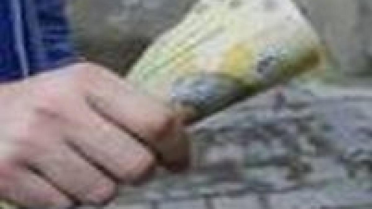 În 2008 salariul mediu va creşte cu 13,2% faţă de 2007