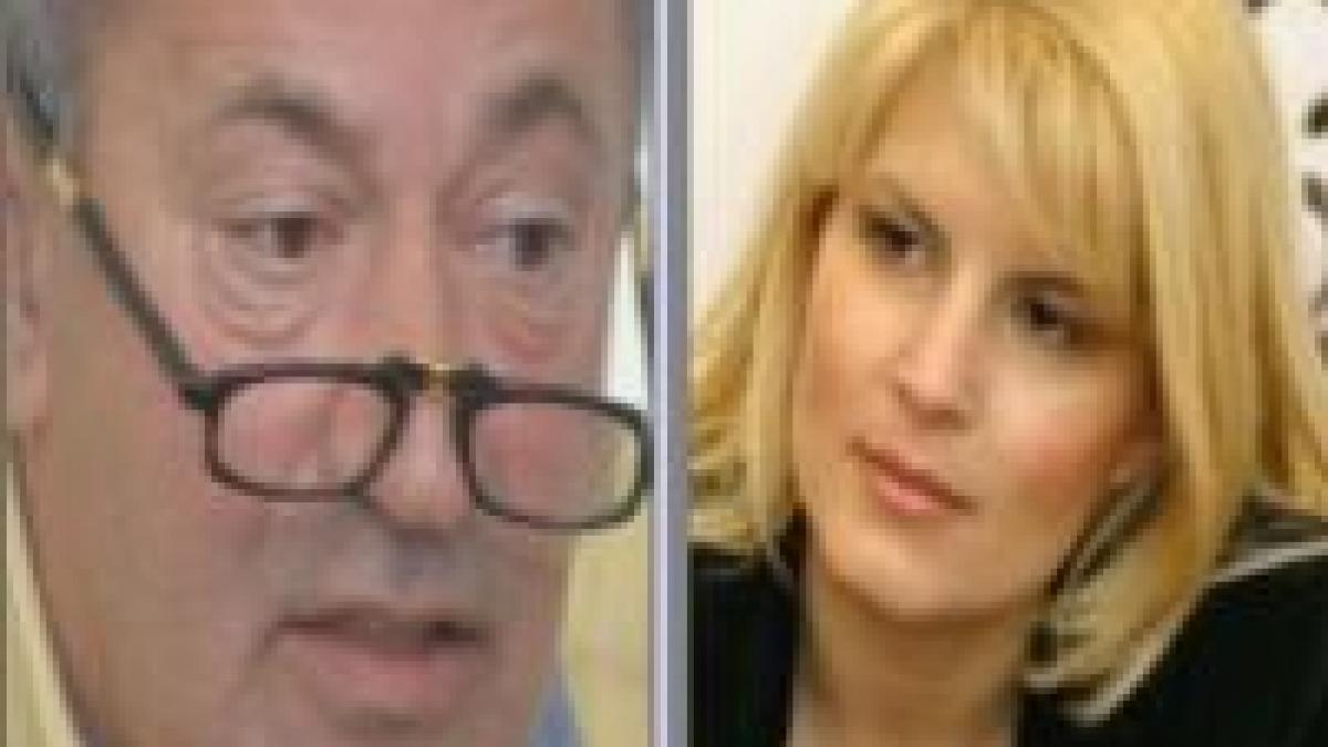 Videanu, martor în procesul dintre Elena Udrea şi Roşca Stănescu