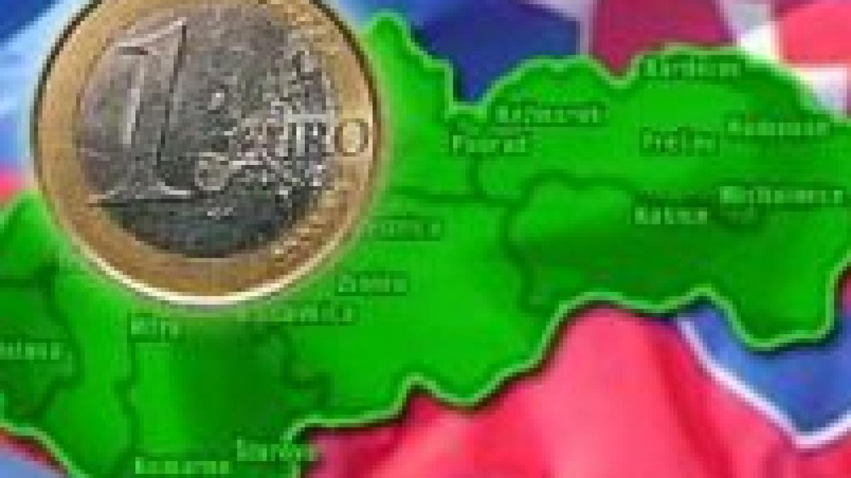 Undă verde pentru euro în Slovacia. Moneda europeană va fi adoptată în 2009