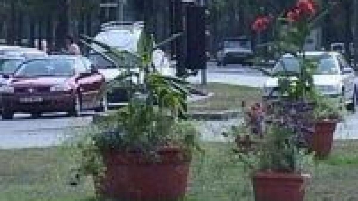 Bucureştiul intră în rândul capitalelor care au o Hartă Verde