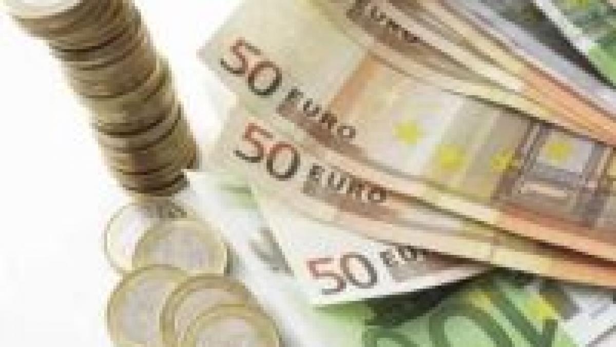 Vosganian: România ar putea adopta moneda euro în 2014