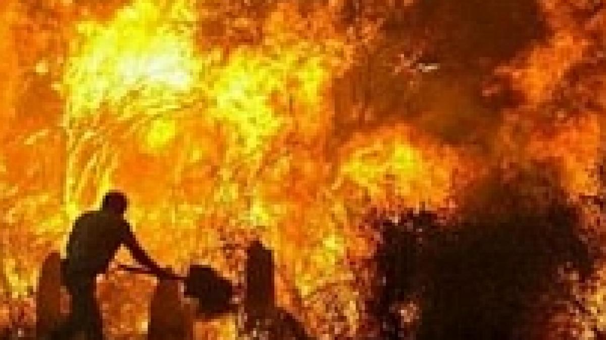 Incendii puternice în sudul Italiei, cauzate de caniculă