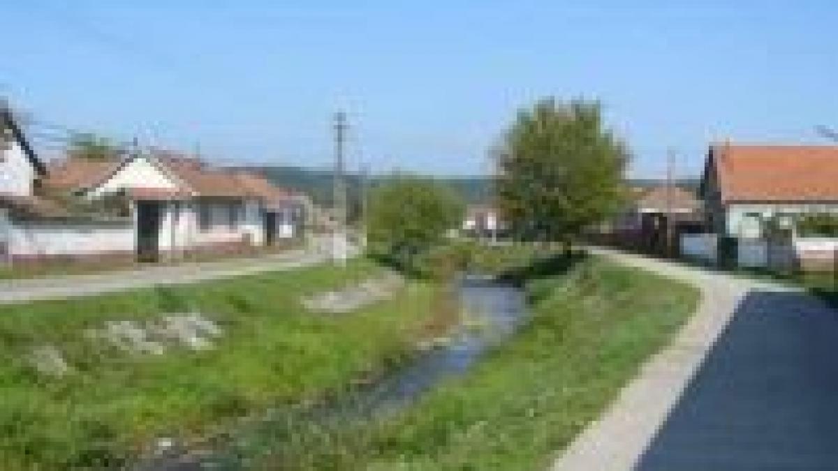 Record în comuna Bătrâna. Prezenţă de 90% la urne, până la ora 15.00