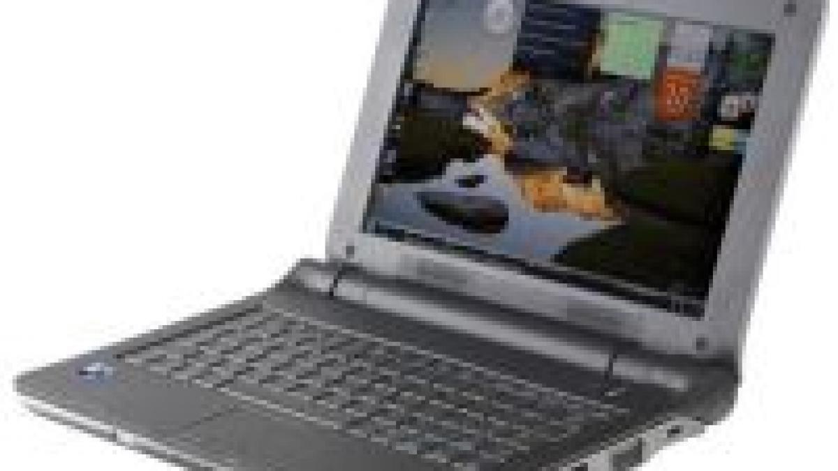 Sony se pregăteşte pentru lansarea unui mini-laptop