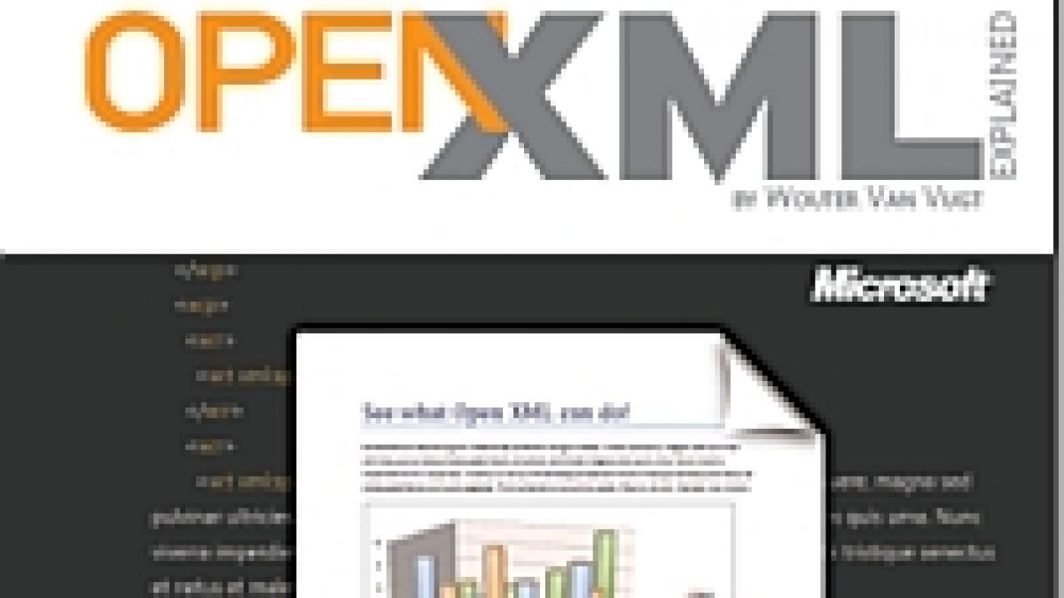 Patru ţări contestă aprobarea formatului de documente OpenXML, de către ISO